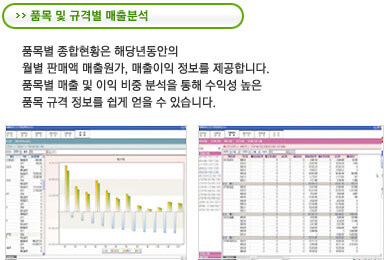매출분석